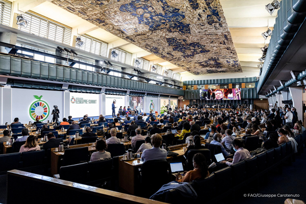 © FAO/Giuseppe Carotenuto