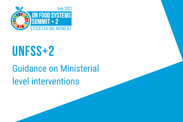 Guidance on Ministerial level interventions