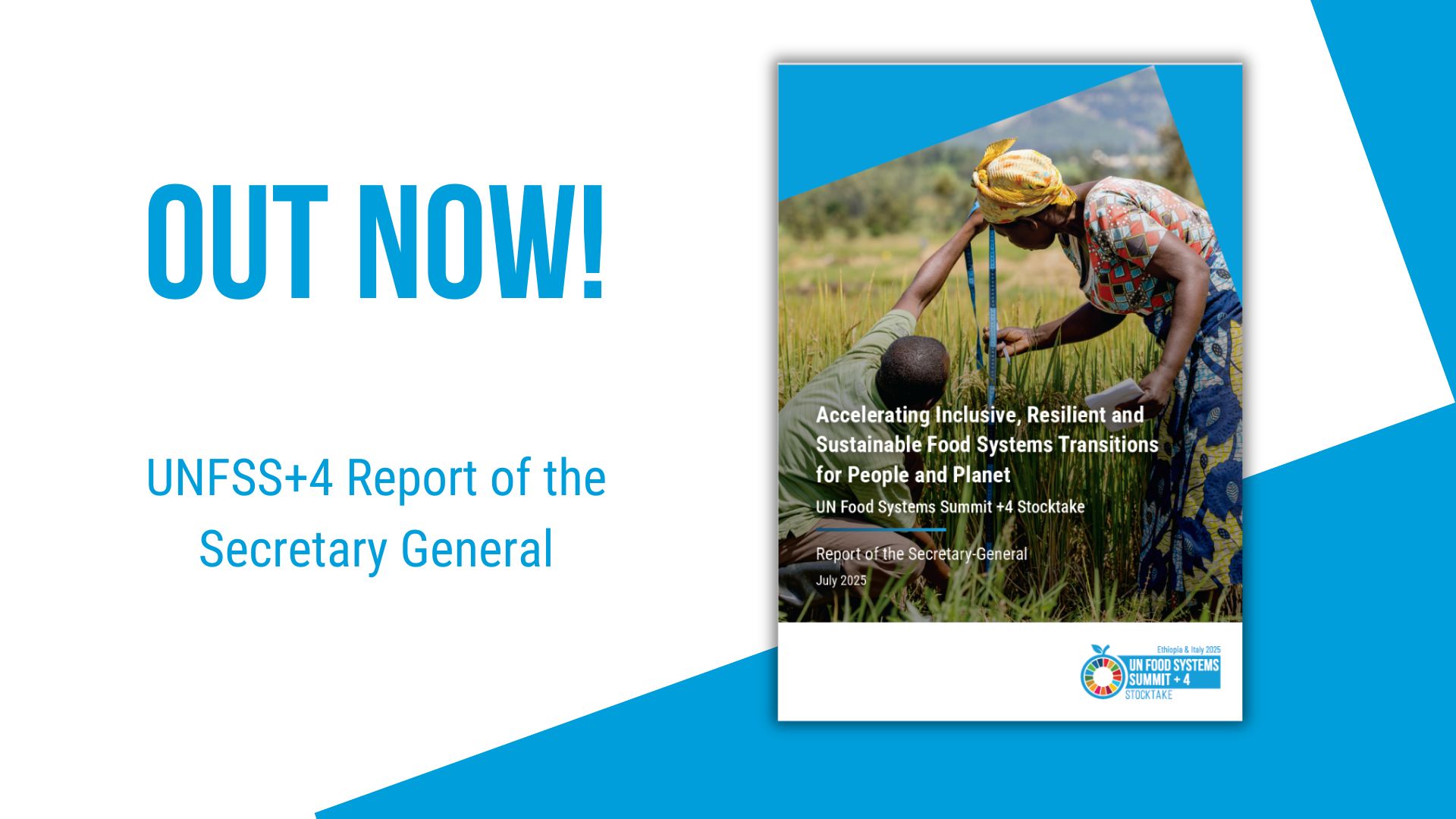 Launch of UNFSS+4 Report: Scaled-up action needed to transform food systems by 2030