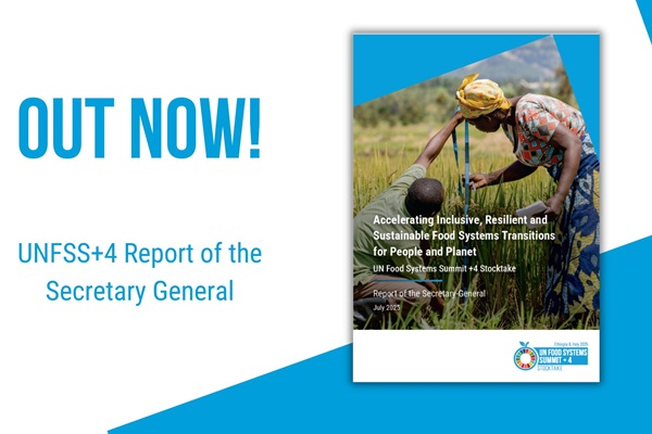 Launch of the SG Report