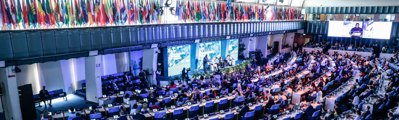 UN Secretary-General's report highlights progress in global food systems transformation