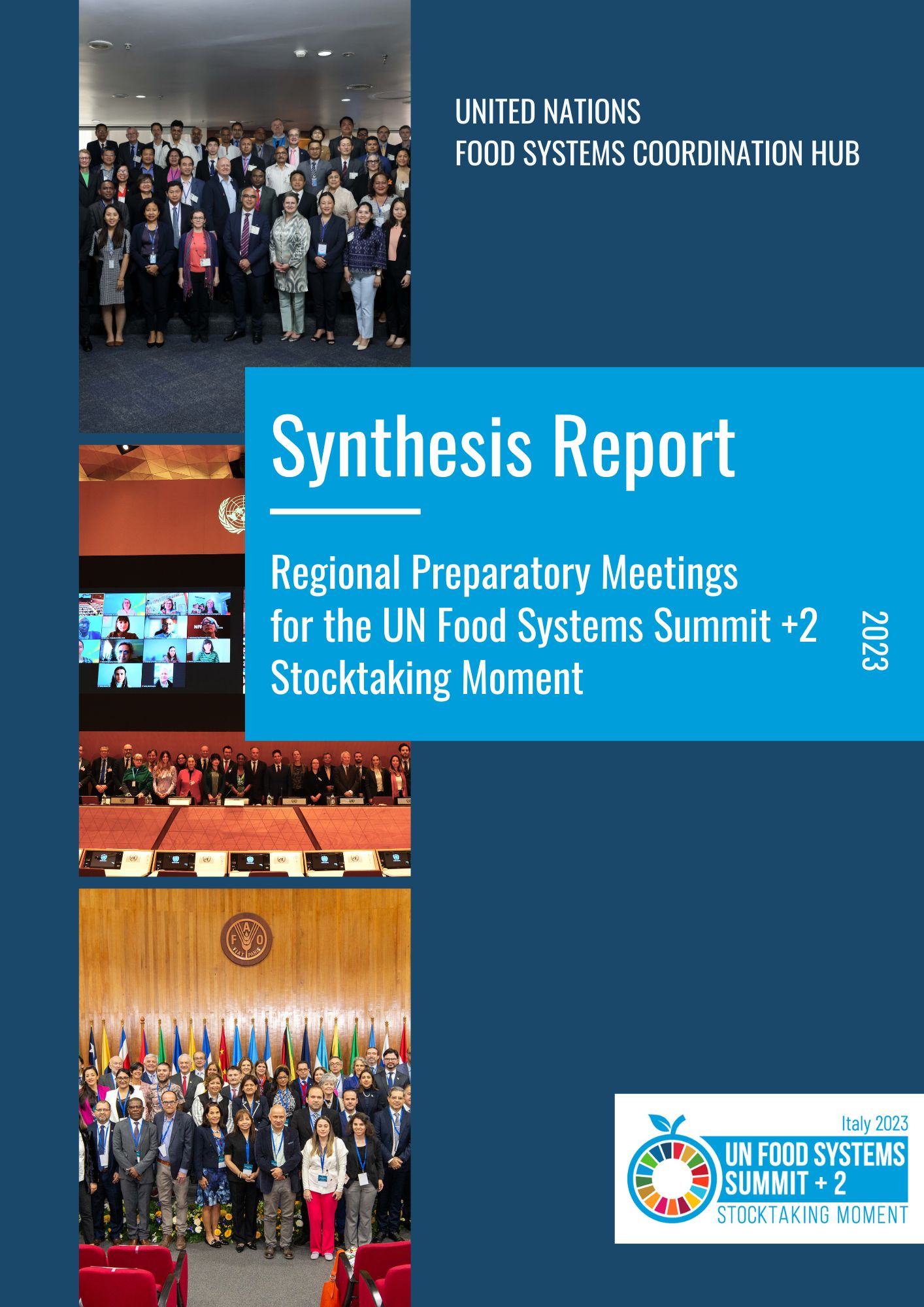 Synthesis Report