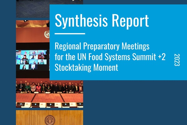 Synthesis Report of the Regional Preparatory Meetings of the UNFSS 2