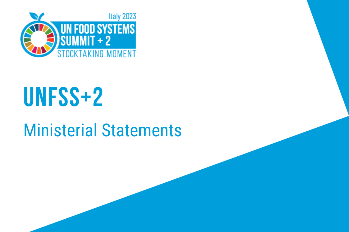 UNFSS+2 Ministerial Statements