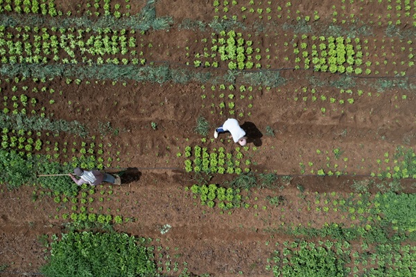 Agri-PBD Platform