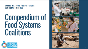 Compendium of Food Systems Coalitions