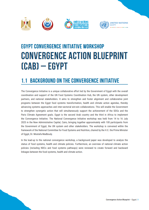 Egypt Convergence Action Blueprint