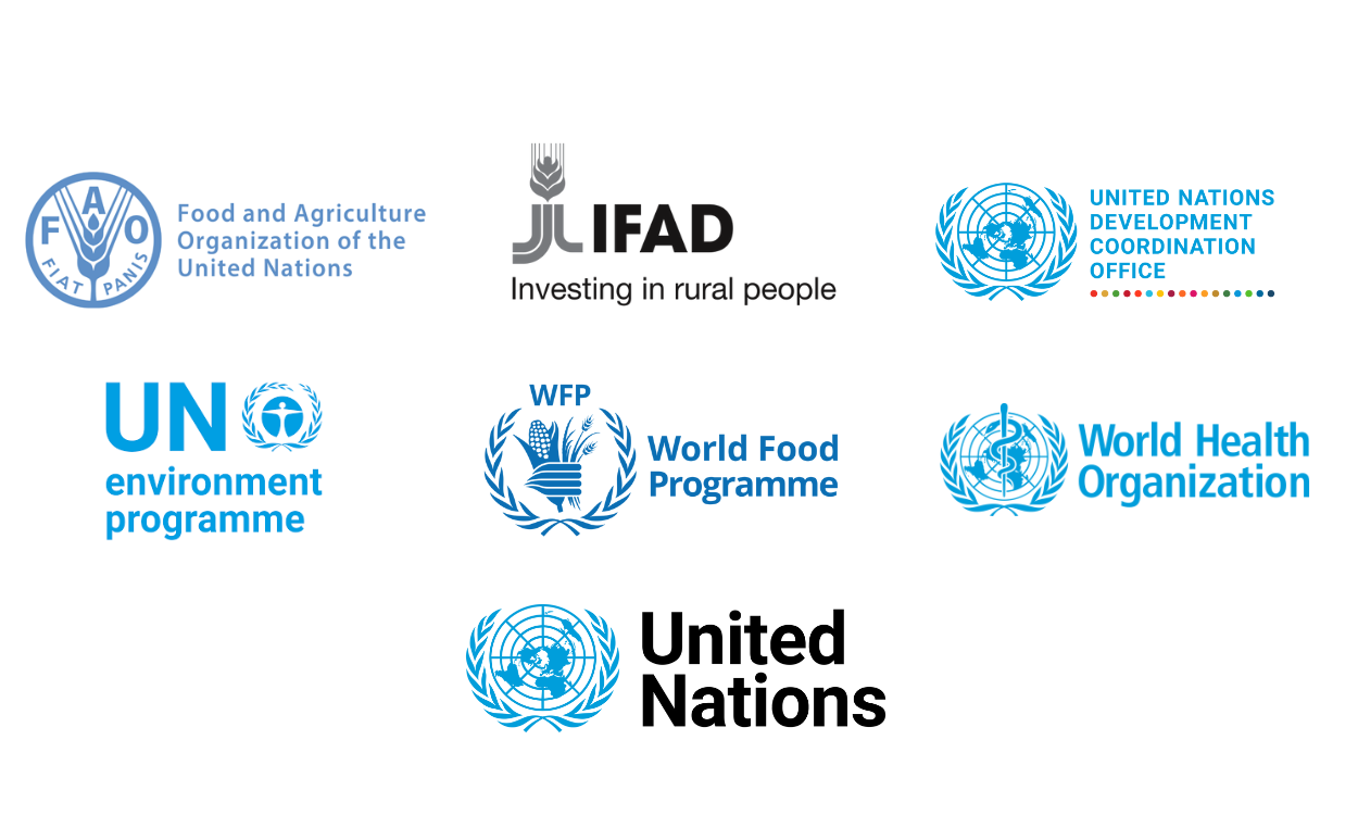 UN agency logos