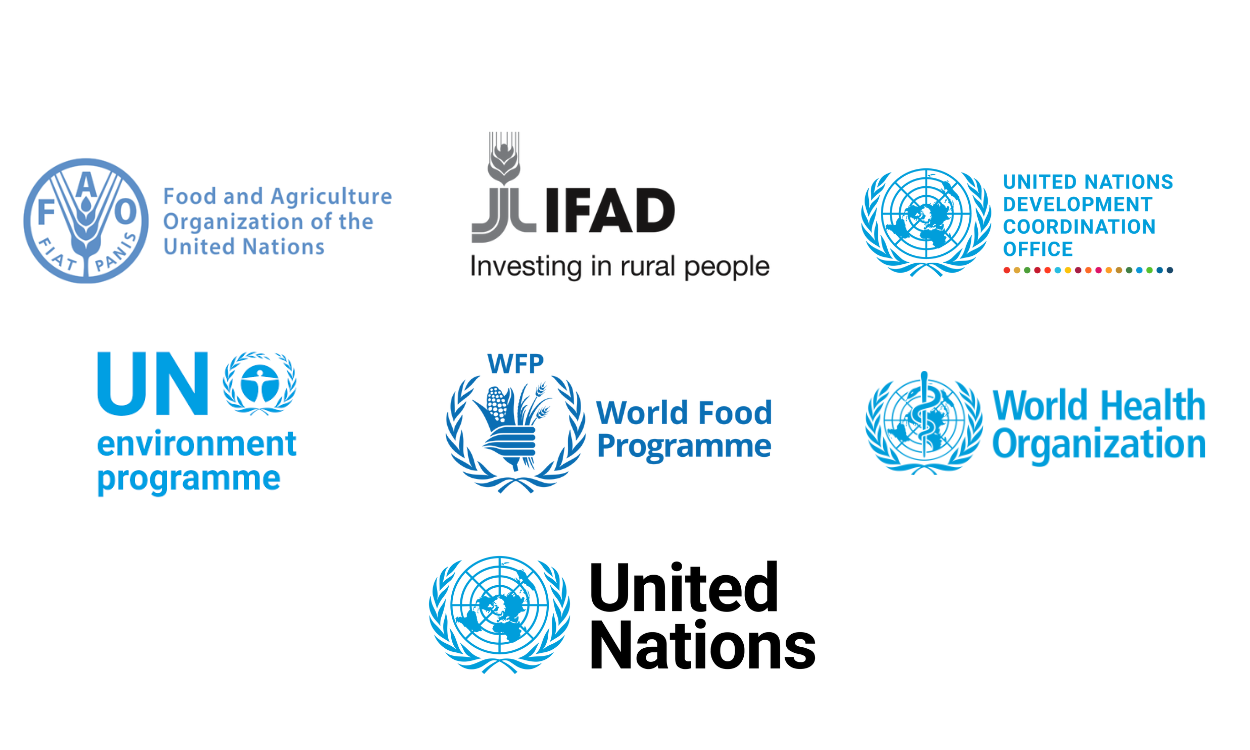 Structure| UN Food Systems Coordination Hub