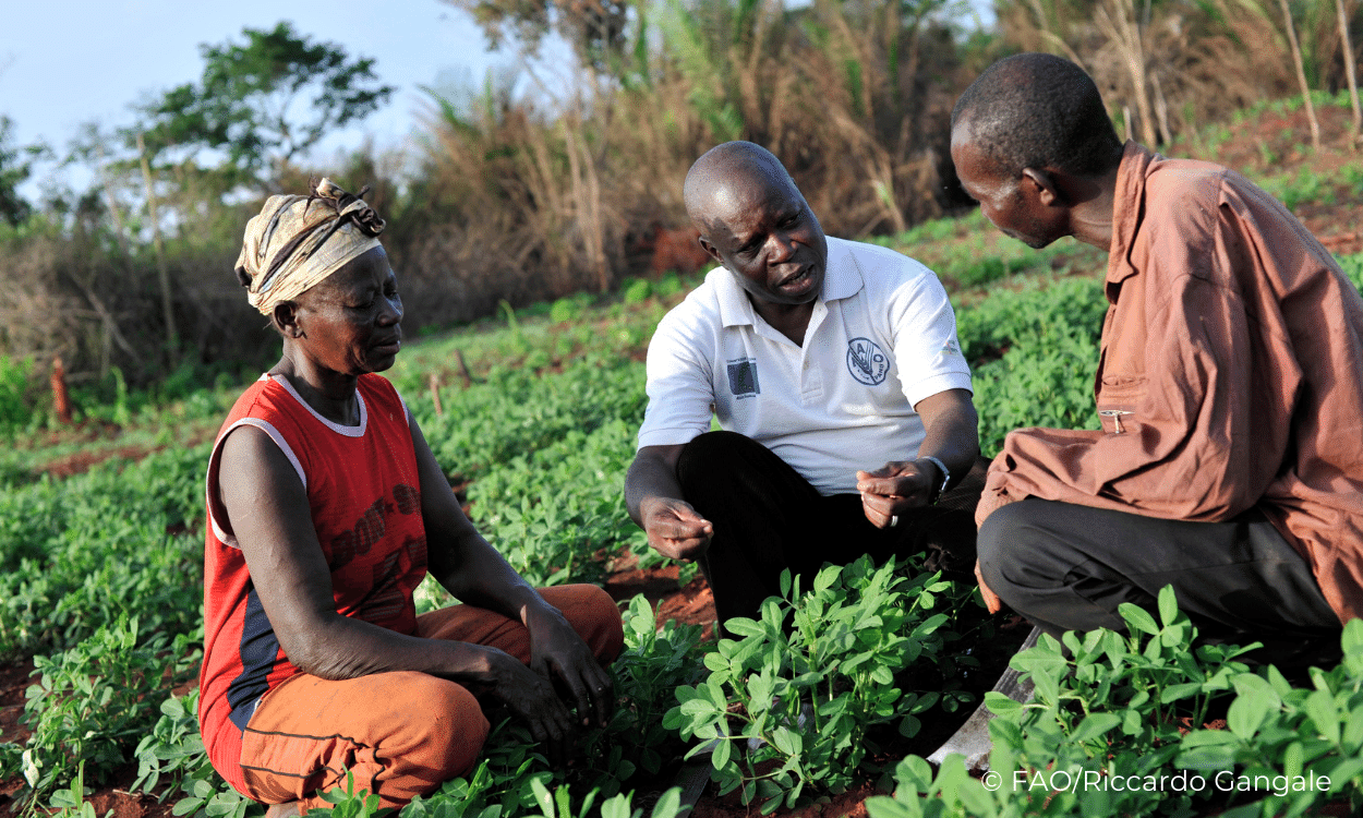 Food Systems Solutions Dialogues