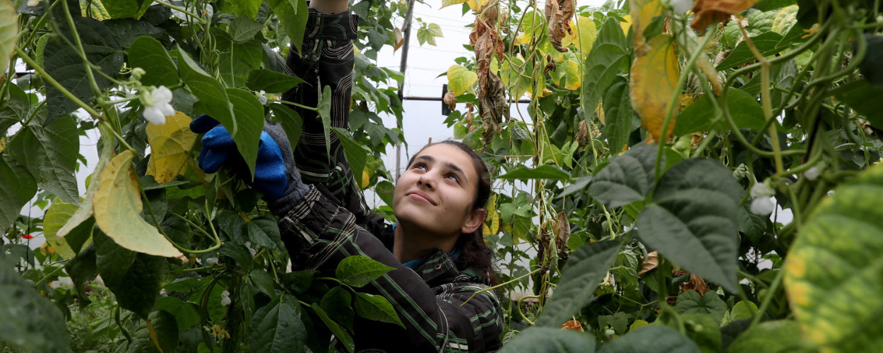Dialogues sur les solutions pour les systèmes alimentaires - le calendrier 2023 est disponible!