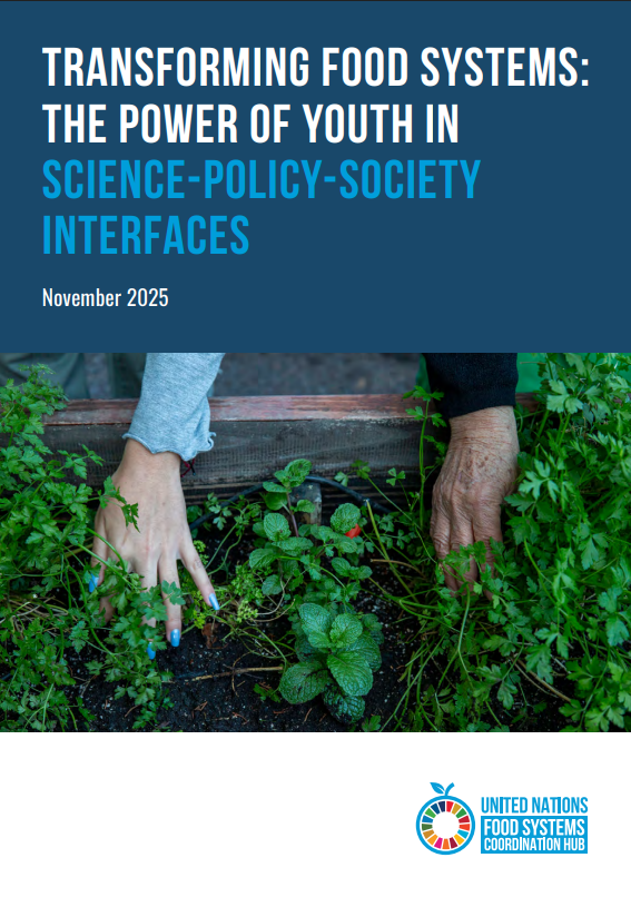 SPIs_Policy Brief