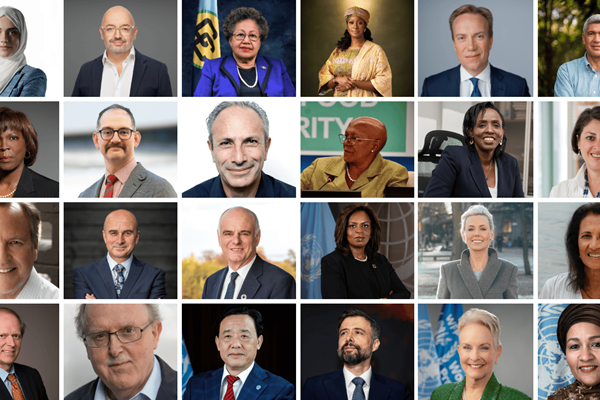 UN Food Systems Advisory Group