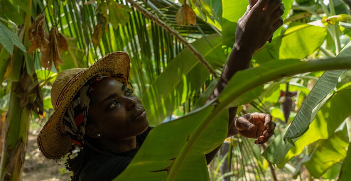 Food Systems Transformation as an Accelerator for the Agenda 2030 and AU 2063 Agenda Implementation in Africa: Lessons and Insights from the frontline