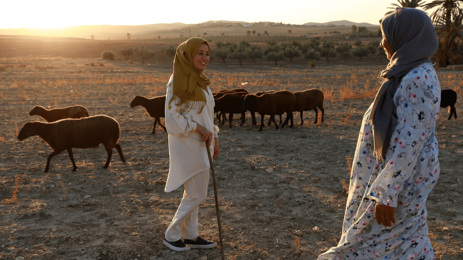 Arab regional meeting