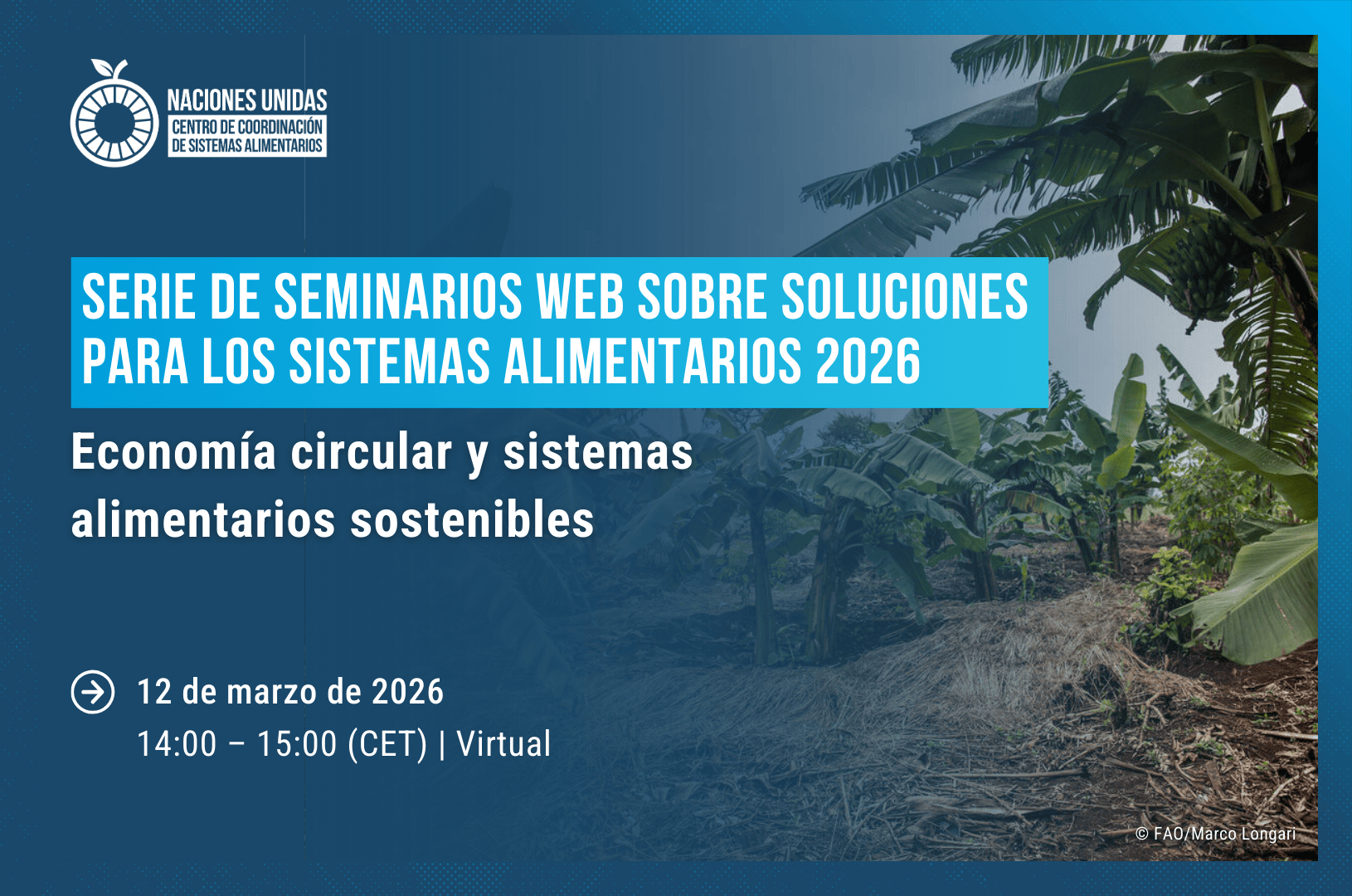 Circular economy and sustainable food systems