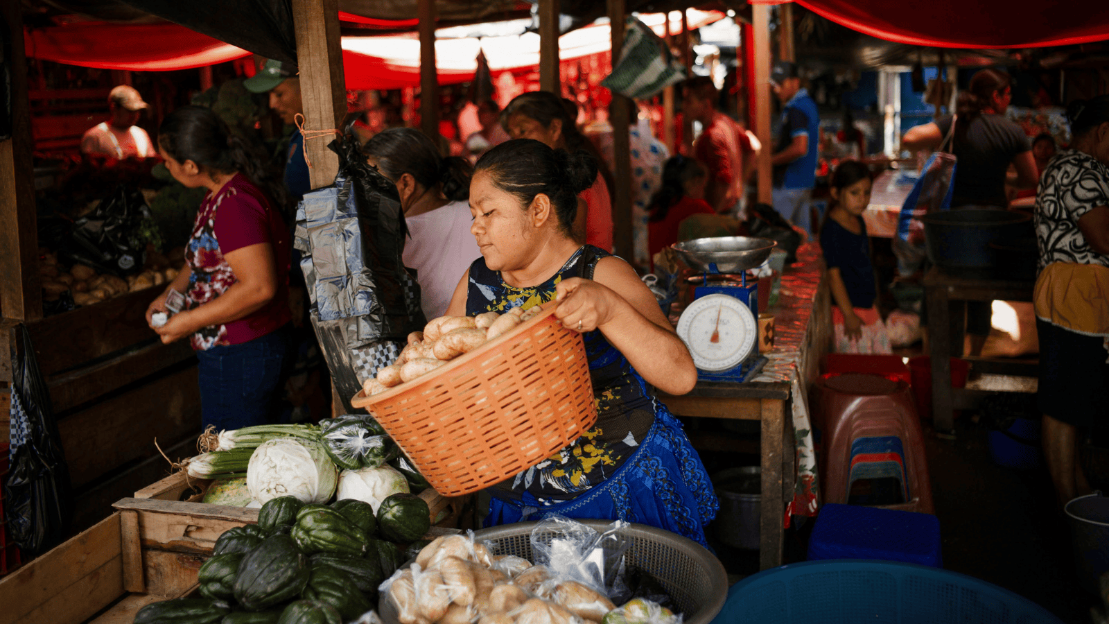 LAC regional meeting