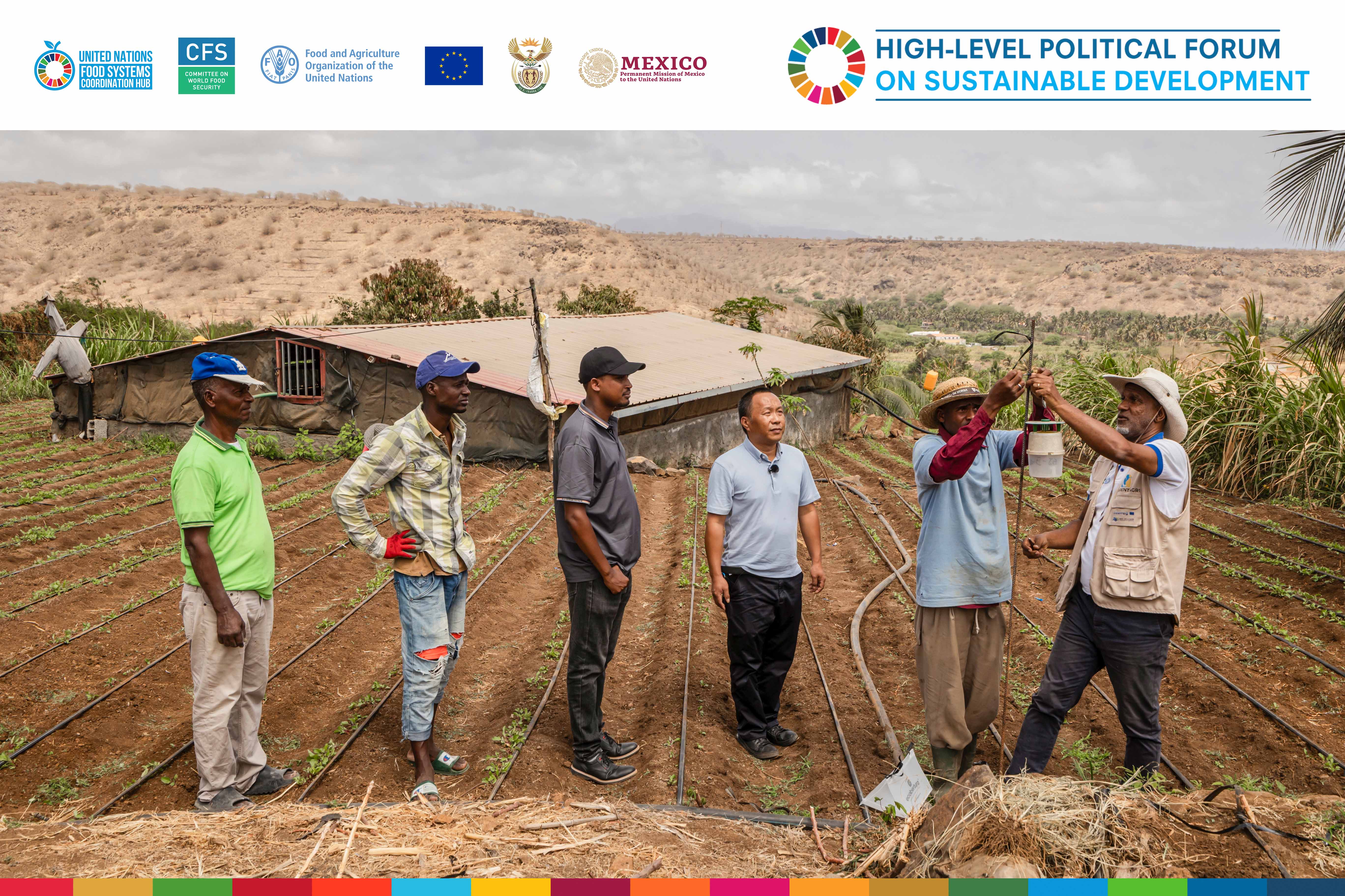 The catalytic role of policy integration and inclusive governance for food systems transformation and SDG acceleration_Cover Image_Thumbnail_updated