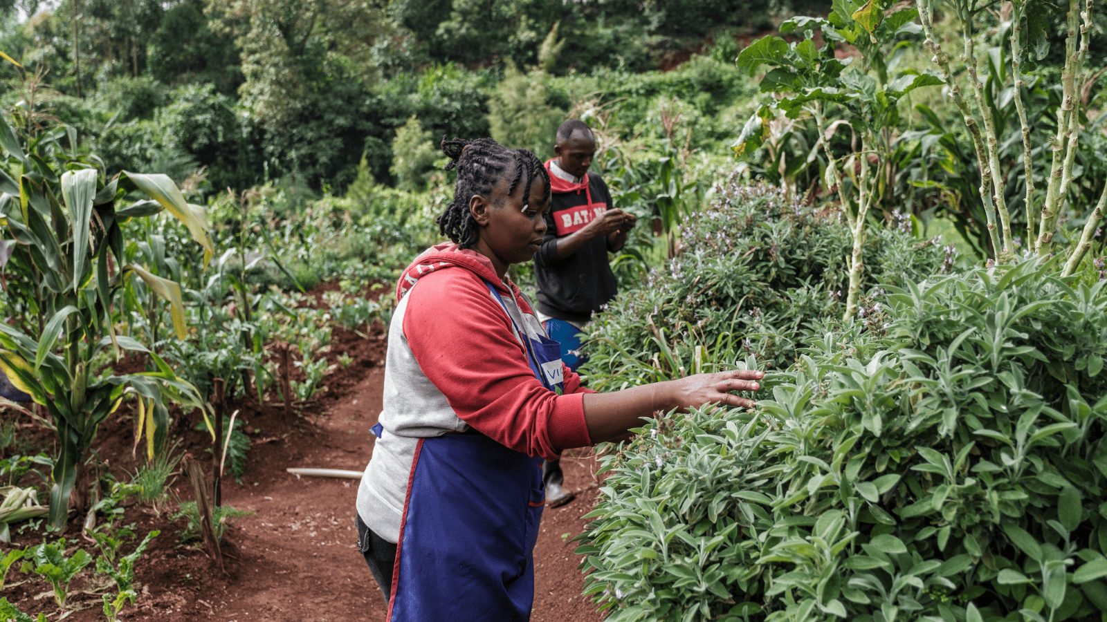 Africa Regional Meeting