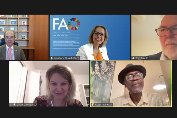 FSS Webinar on Systems Thinking FSS Webinar on Systems Thinking