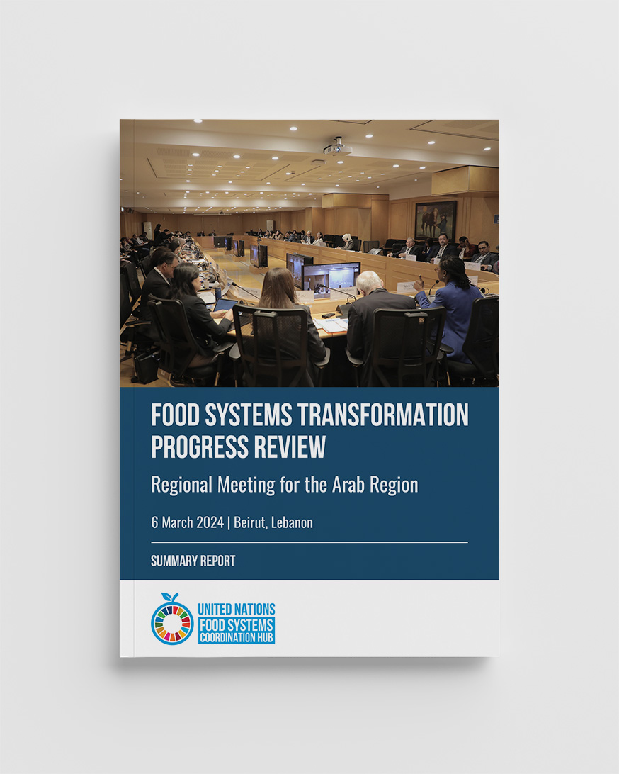 Arab Region Meeting Summary Report 2024