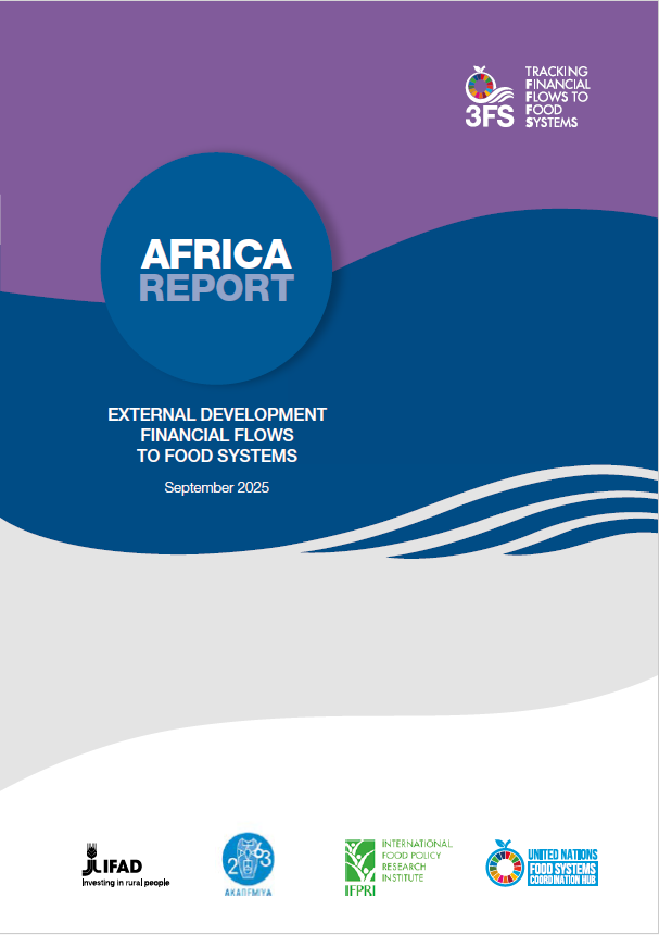 External Development Financial Flows to Food Systems: Deep Dive on Africa’s Food Systems