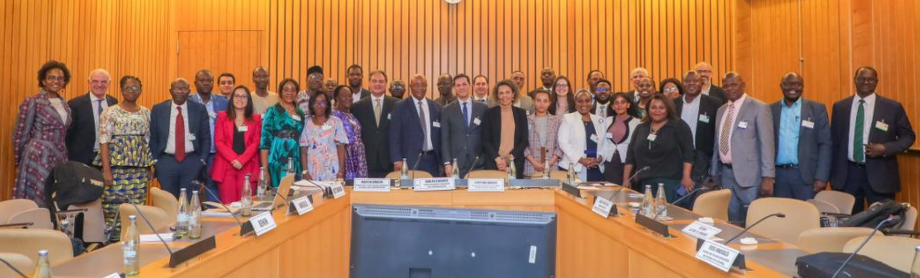 Advances in African food systems: Takeaways from the regional progress review