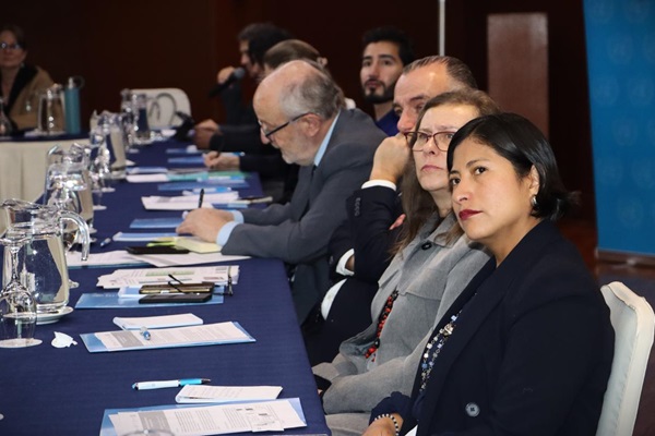 AMAS-1_Joint_Programme_Bolivia