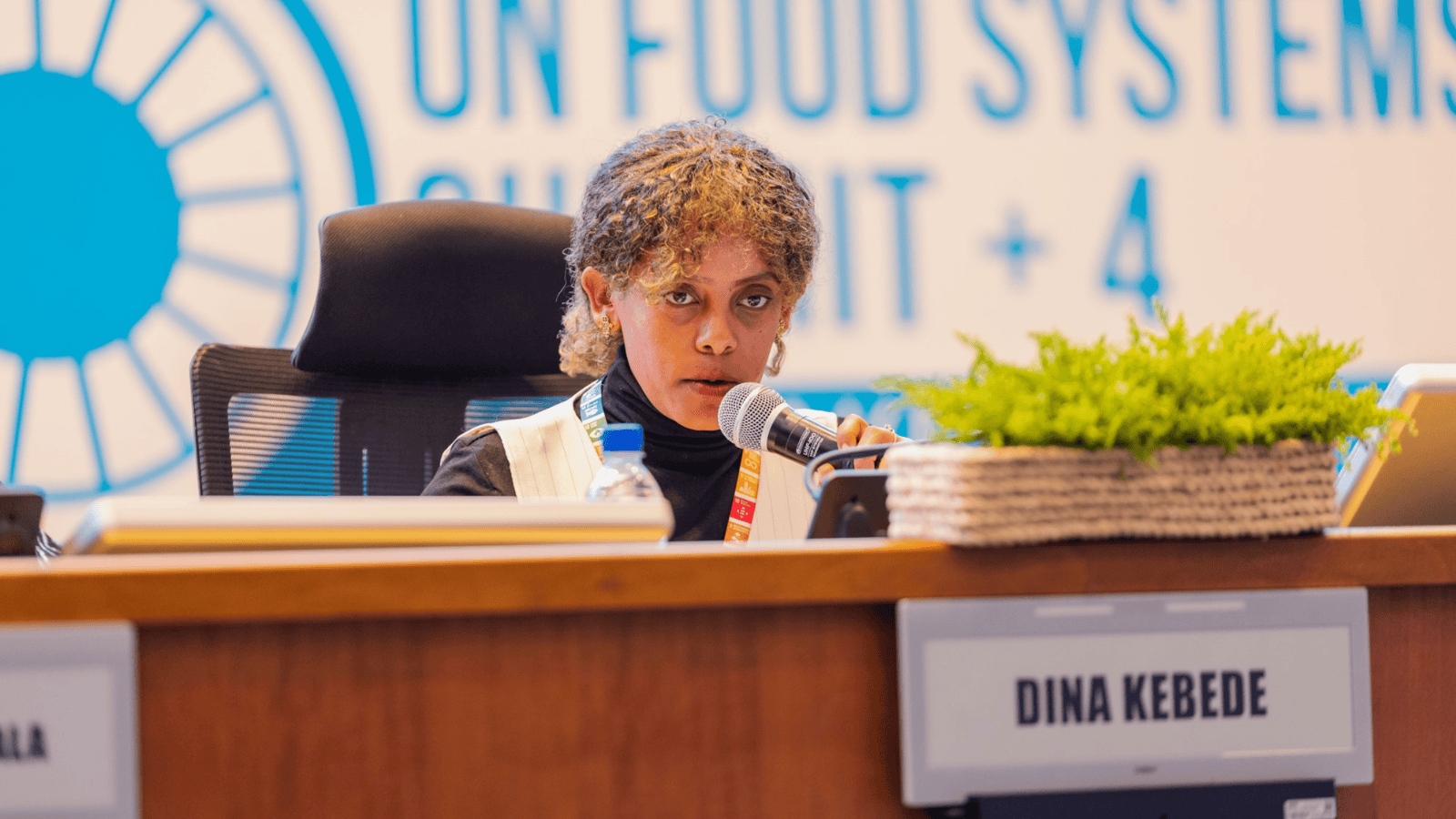 Dina Kassa Kebede Dina Kassa Kebede