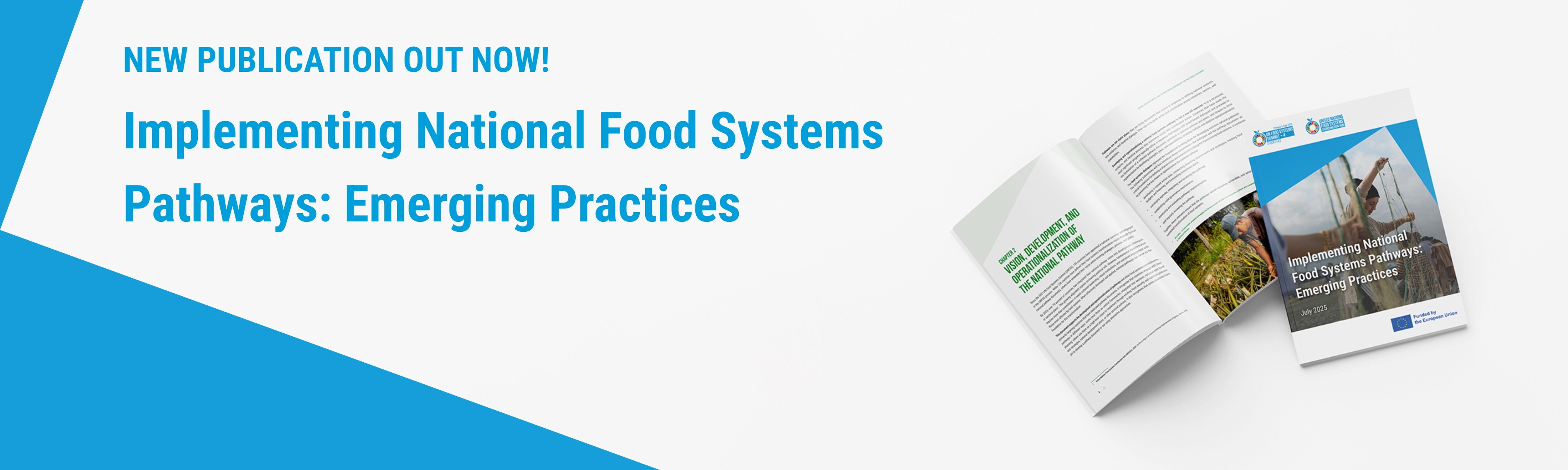 New publication showcases emerging practices in operationalizing food systems transformation pathways Emerging Practices_news_banner