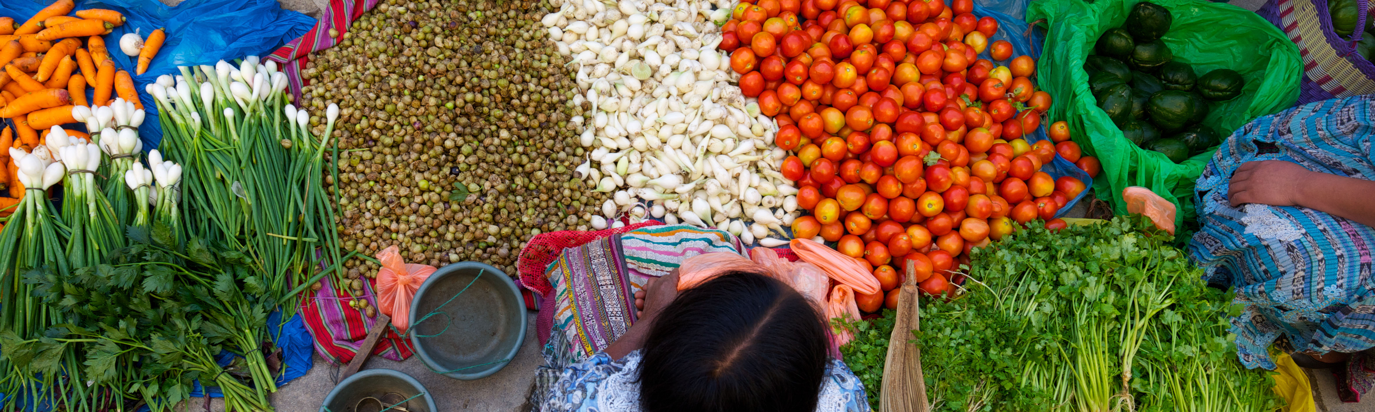 A new study reveals that the price tag to eliminate hunger has almost doubled due to ‘lost years’
