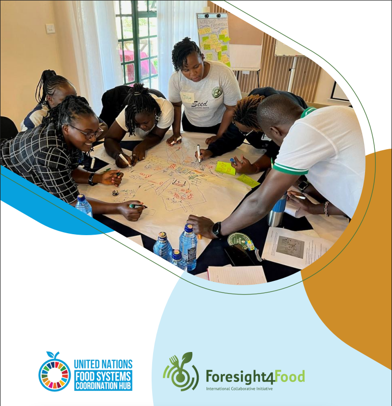 Using foresight for food systems transformation: A guide for policy makers, practitioners, and researchers Foresight