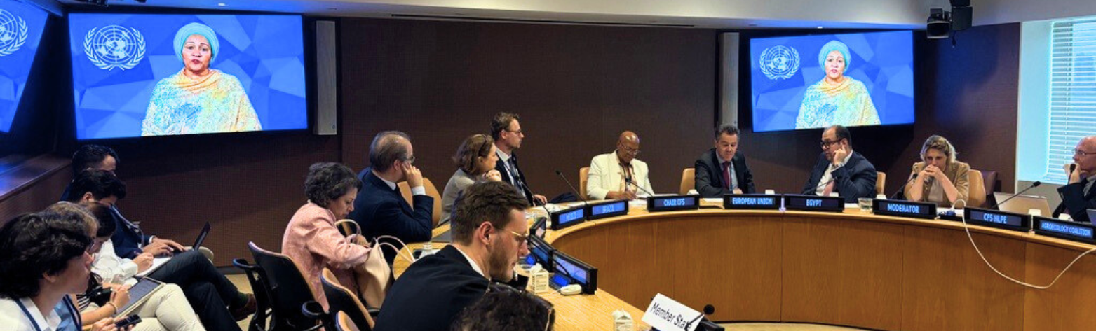 The catalytic role of policy integration and inclusive governance for food systems transformation and SDG acceleration