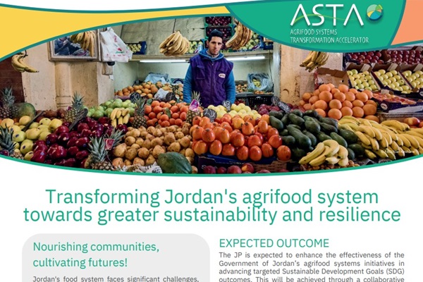 Jordan Joint SDG Fund