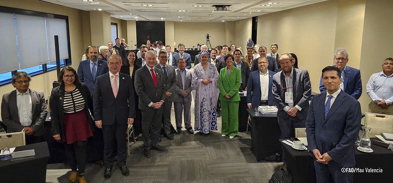 Advancing sustainable development through food systems transformation in Latin America and the Caribbean