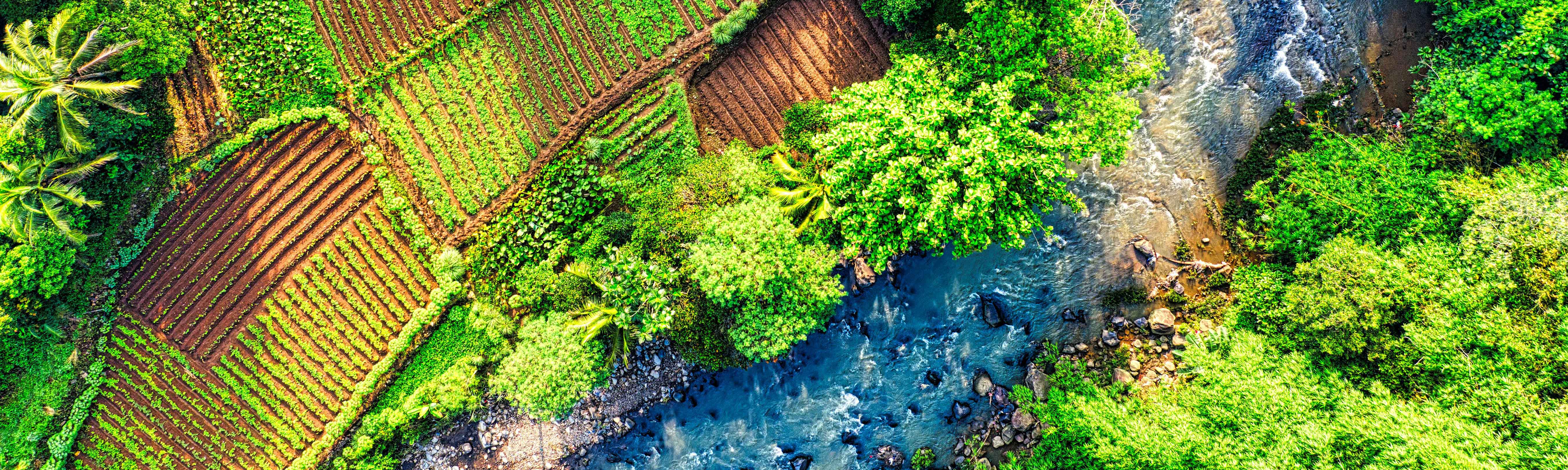 Momentum for agroecology: global Coalition launches new strategy
