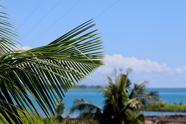 Samoa_Cost of the Diet