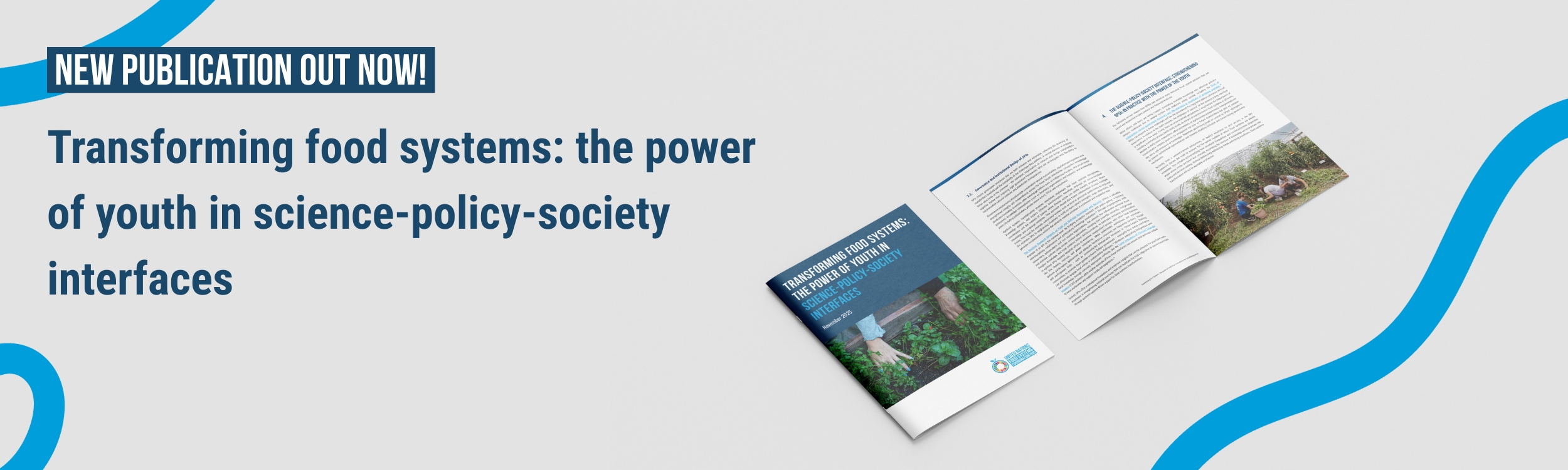 SPIs_Policy brief_banner