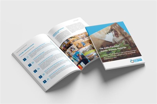 UNFSS 4 Report_Graphic_02