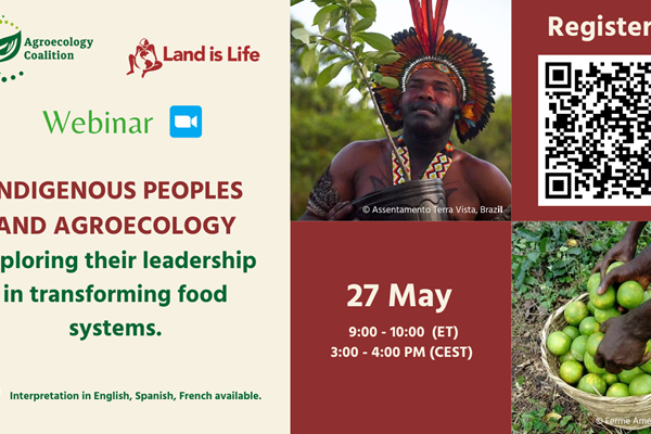Webinar 27 May