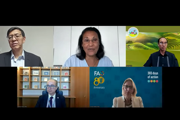webinar-national-governance