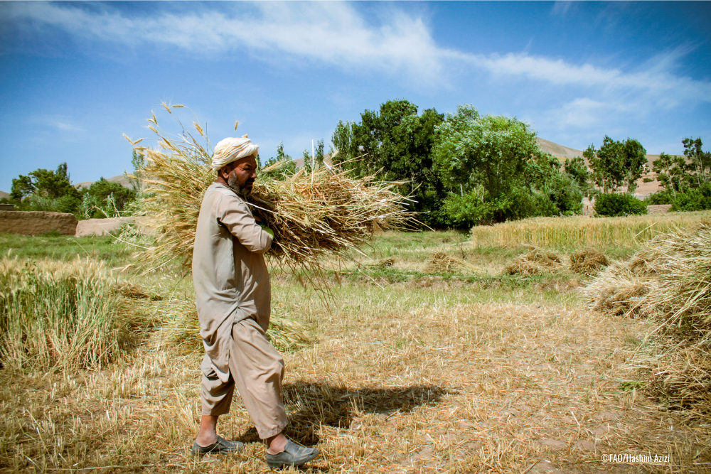 Advance Equitable Livelihoods, Decent Work, & Empowered Communities