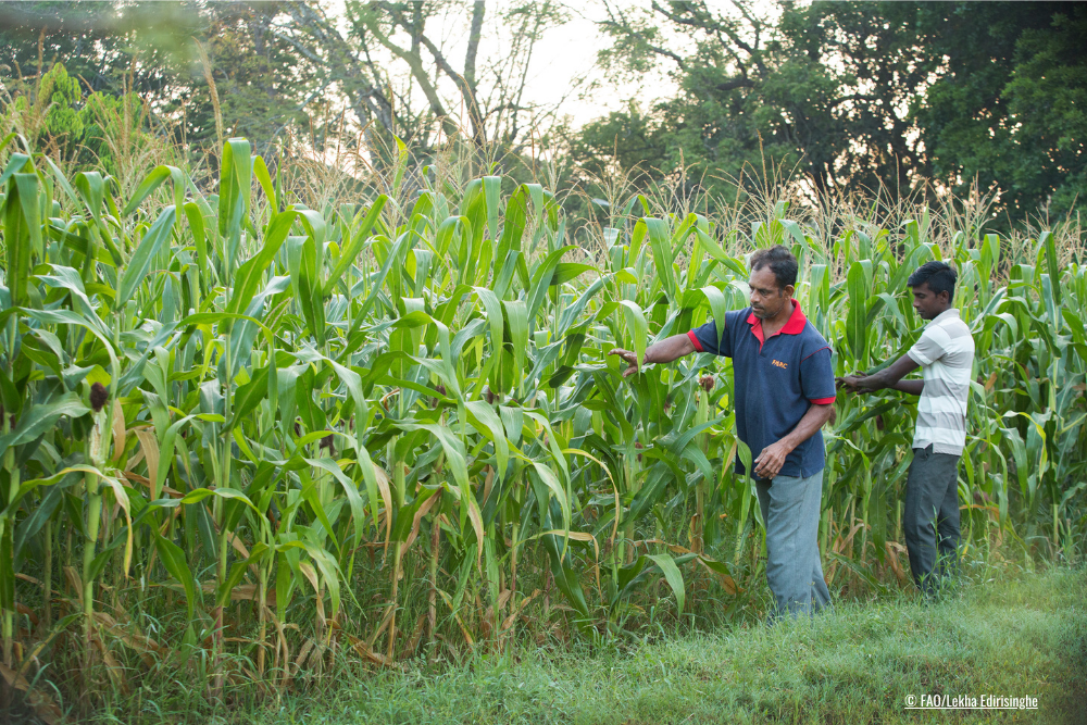 Boost nature-based solutions