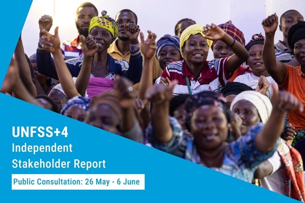 UNFSS+4 Independent Stakeholder Report UNFSS+4 Independent Stakeholder Report