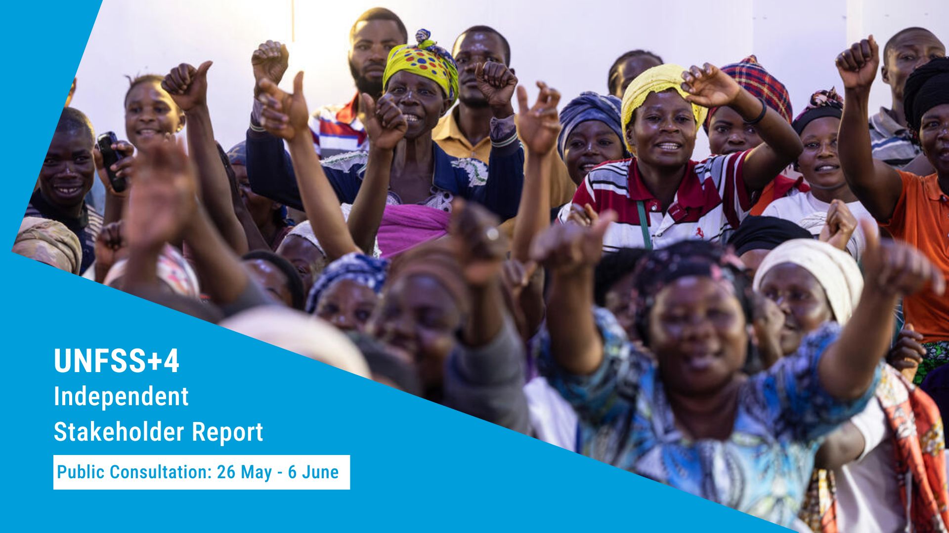 Public consultation on the draft UNFSS+4 Independent Stakeholder Report
