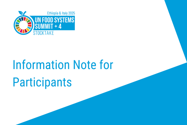 UNFSS 4 Information Note
