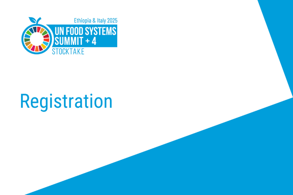 UNFSS+4 Registration