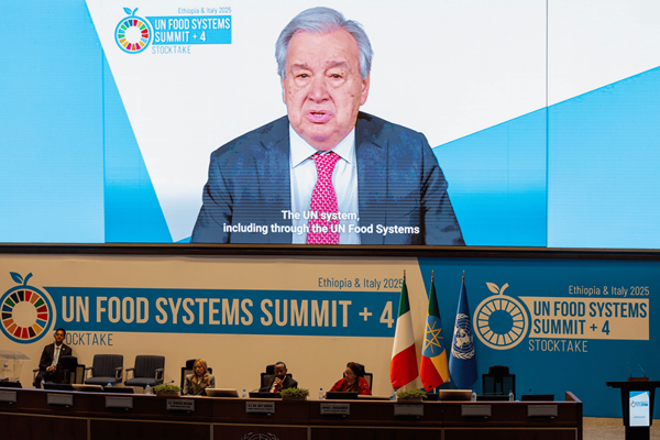 UNFSS+4 Secretary-General