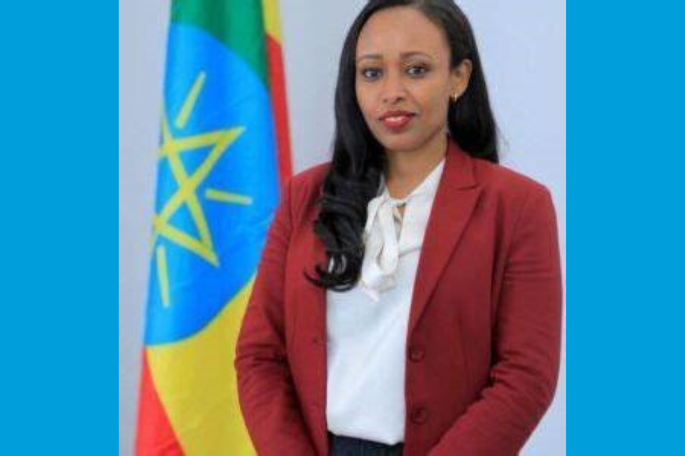 H.E. Dr. Fitsum Assefa